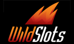 Wildslots Wildslots logo